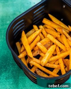 Loaded Cheddar Air Fryer Fries with Crispy Seasoning 8 img 4735 7