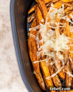Loaded Cheddar Air Fryer Fries with Crispy Seasoning 9 Cheese fries
