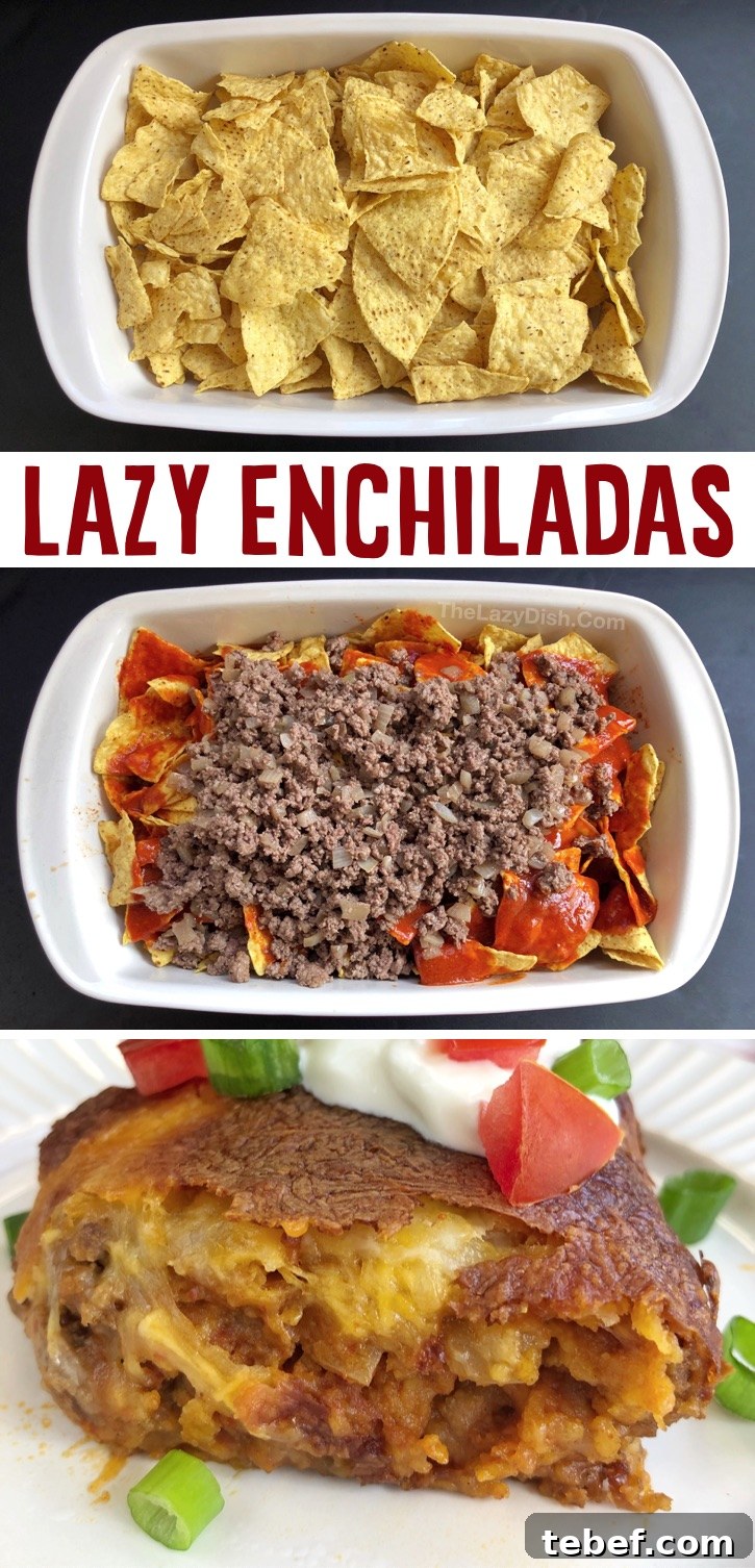 Crunchy Tortilla Chip Enchiladas — Quick Weeknight Casserole 5 Easy Ground Beef Enchilada Family Dinner Casserole