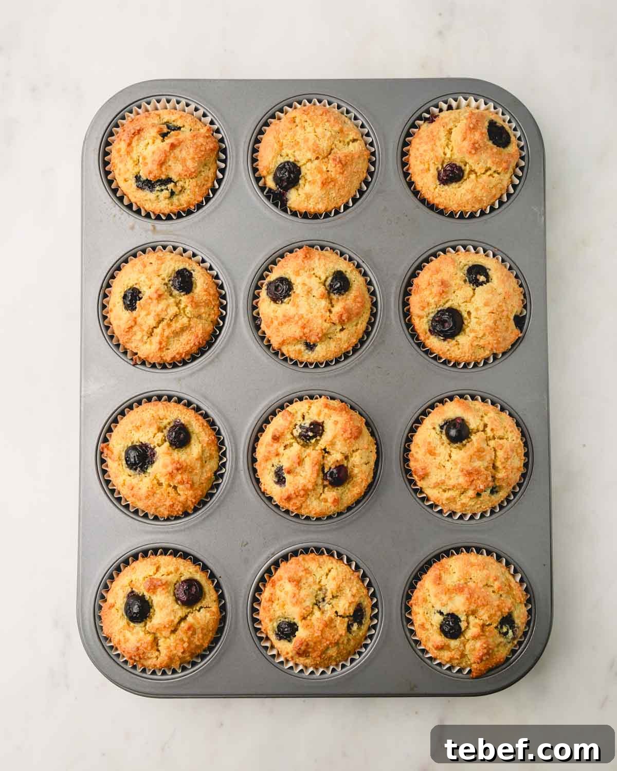 Almond Flour Blueberry Muffins Recipe — Moist Low-Carb Muffins 12 Baked almond flour blueberry muffins in a muffin pan.