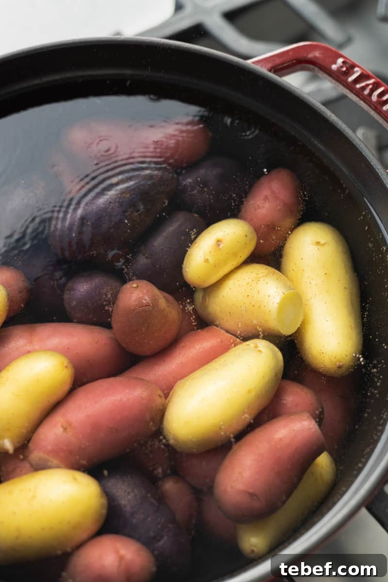 Garlic Rosemary Smashed Fingerling Potatoes Recipe 5 Fingerling potatoes in a pot of boiling water.