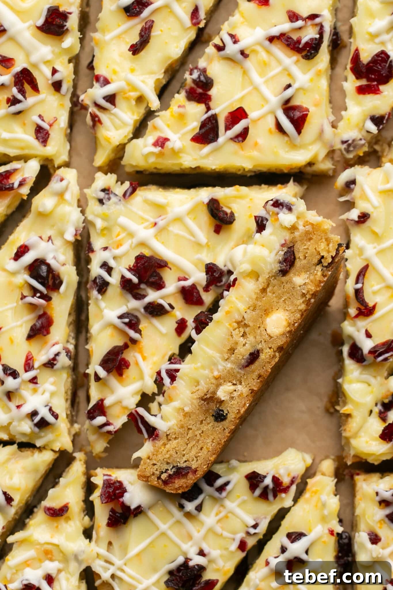 an up close image of bliss bars garnished with white chocolate and cranberries on top. 