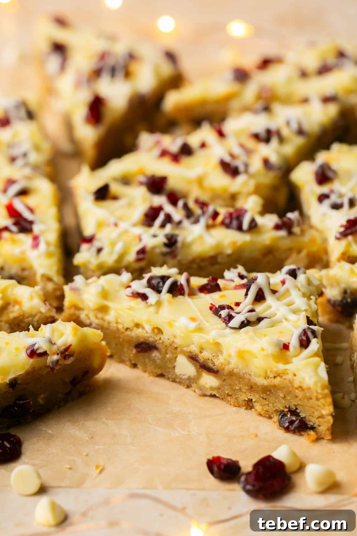 an up close image of bliss bars garnished with white chocolate and cranberries on top. 