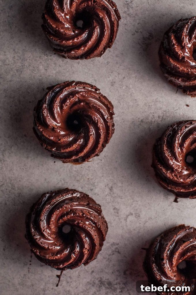 Mini Chocolate Bundt Cakes with Candied Orange Slices Recipe 4 several mini chocolate bundt cakes