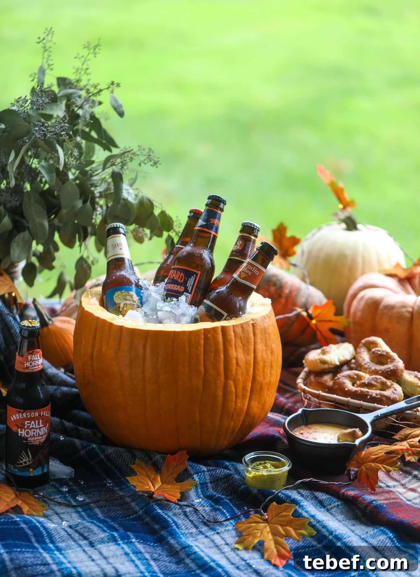 Pumpkin Beer Flight with Hot Pretzel Bar Ideas for Fall Entertaining 2 This is the cutest way ever to serve the best pumpkin beer! If you do a pumpkin beer party of a pumpkin beer tasting, this pumpkin cooler is an adorable (and easy!) way to make things festive. Kick it up with a hot pretzel bar and lots of dipping sauce too! I howsweeteats.com #pumpkin #beer #cooler #softpretzel #fall #cheese