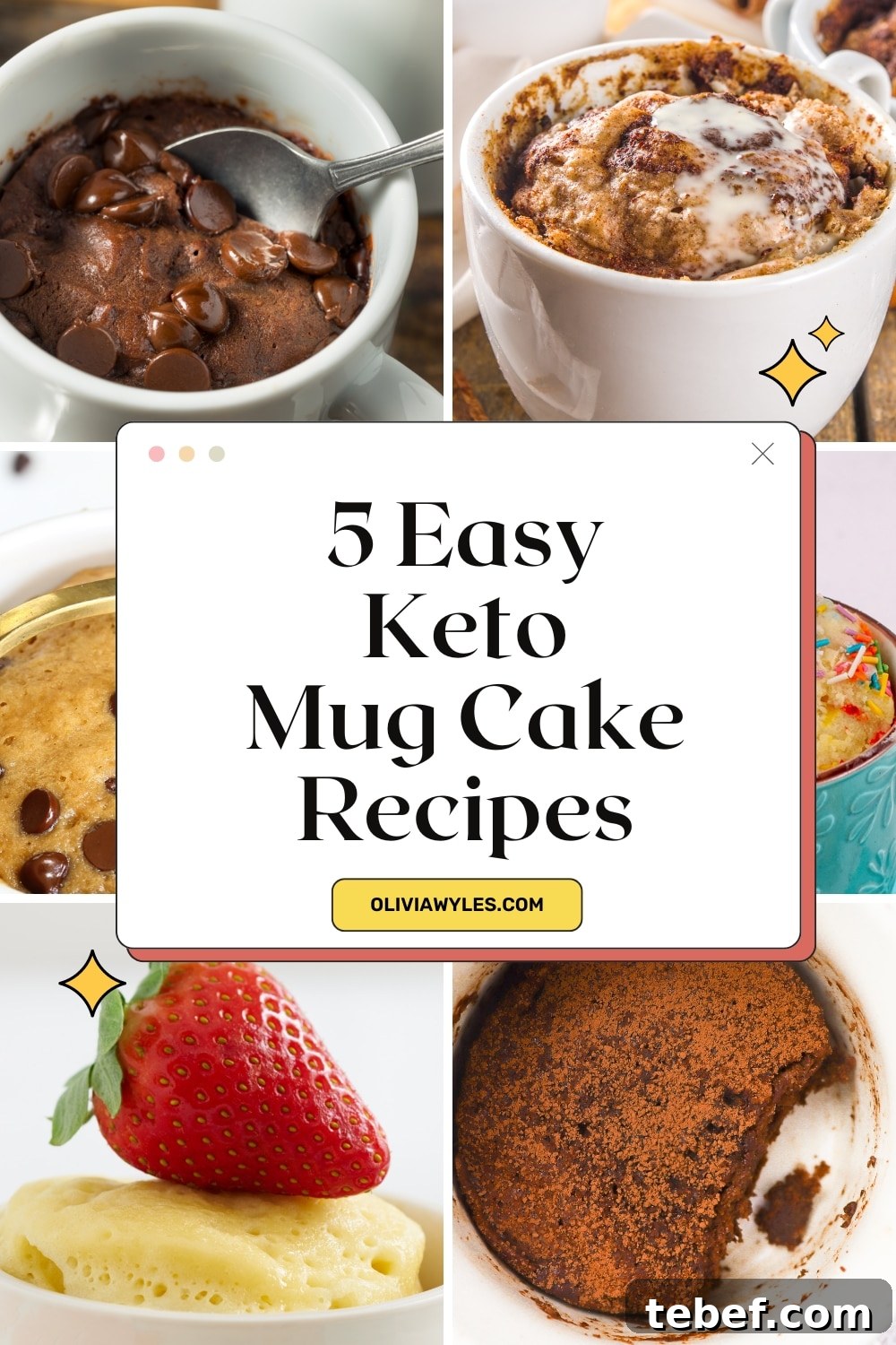 5 Fast Keto Mug Cake Recipes You Can Make in Minutes 2 Keto Mug Cake Recipes Pinterest Image