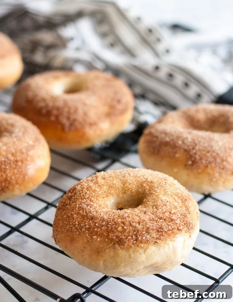 Cinnamon-Sugar Churro Bagels Made from Scratch 2 The perfect balance of cinnamon and sugar takes this breakfast favorite to the fair! Churro bagels are a perfect sweet breakfast treat, and leftovers freeze well for later. * Recipe on GoodieGodmother.com