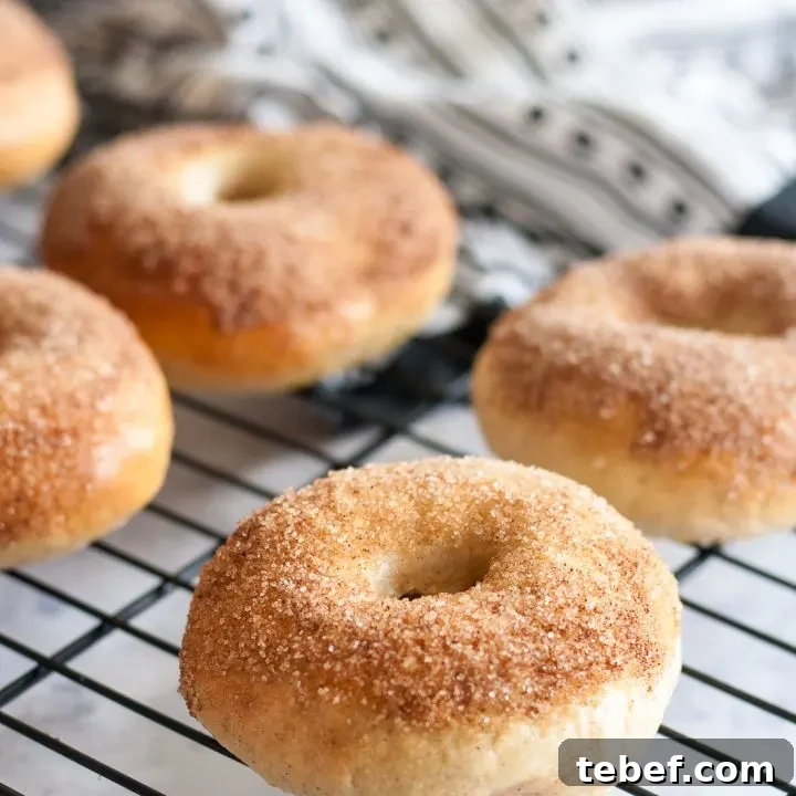The perfect balance of cinnamon and sugar takes this breakfast favorite to the fair! Churro bagels are a perfect sweet breakfast treat, and leftovers freeze well for later. * Recipe on GoodieGodmother.com