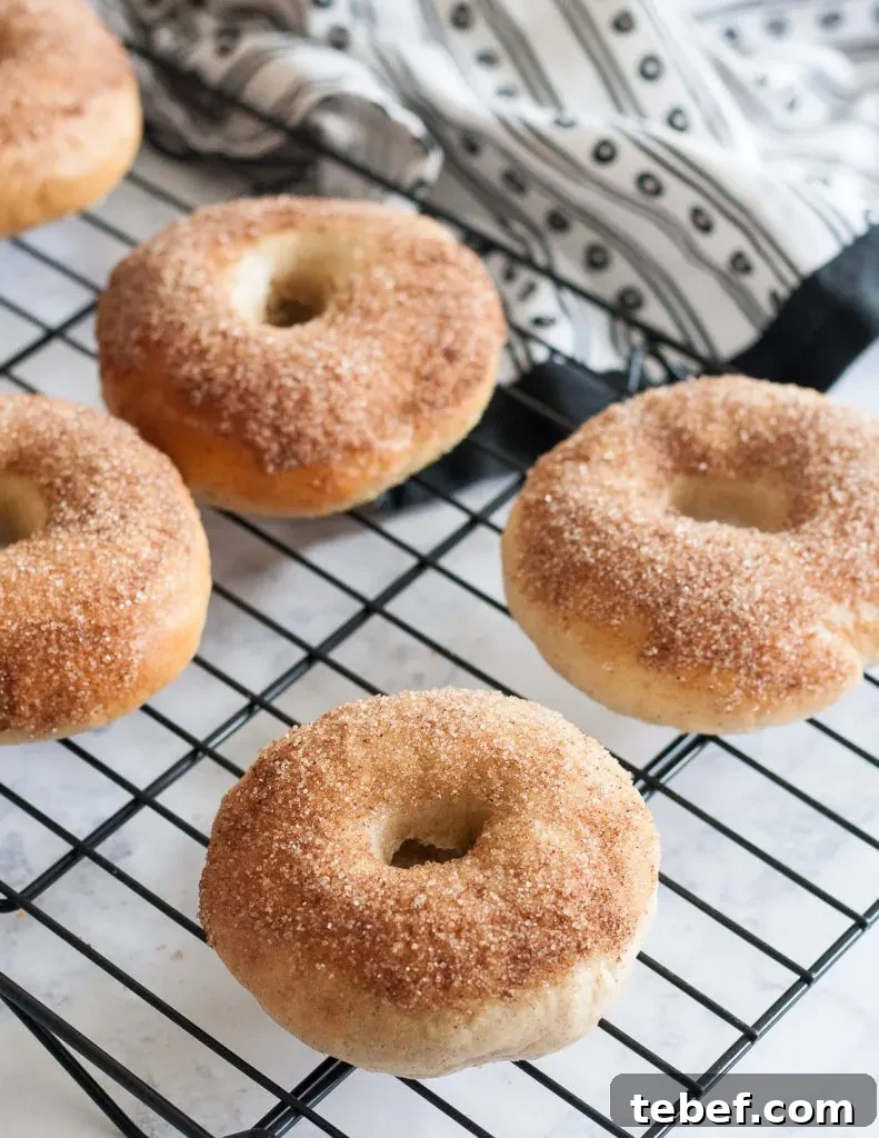 Cinnamon-Sugar Churro Bagels Made from Scratch 3 The perfect balance of cinnamon and sugar takes this breakfast favorite to the fair! Churro bagels are a perfect sweet breakfast treat, and leftovers freeze well for later. * Recipe on GoodieGodmother.com