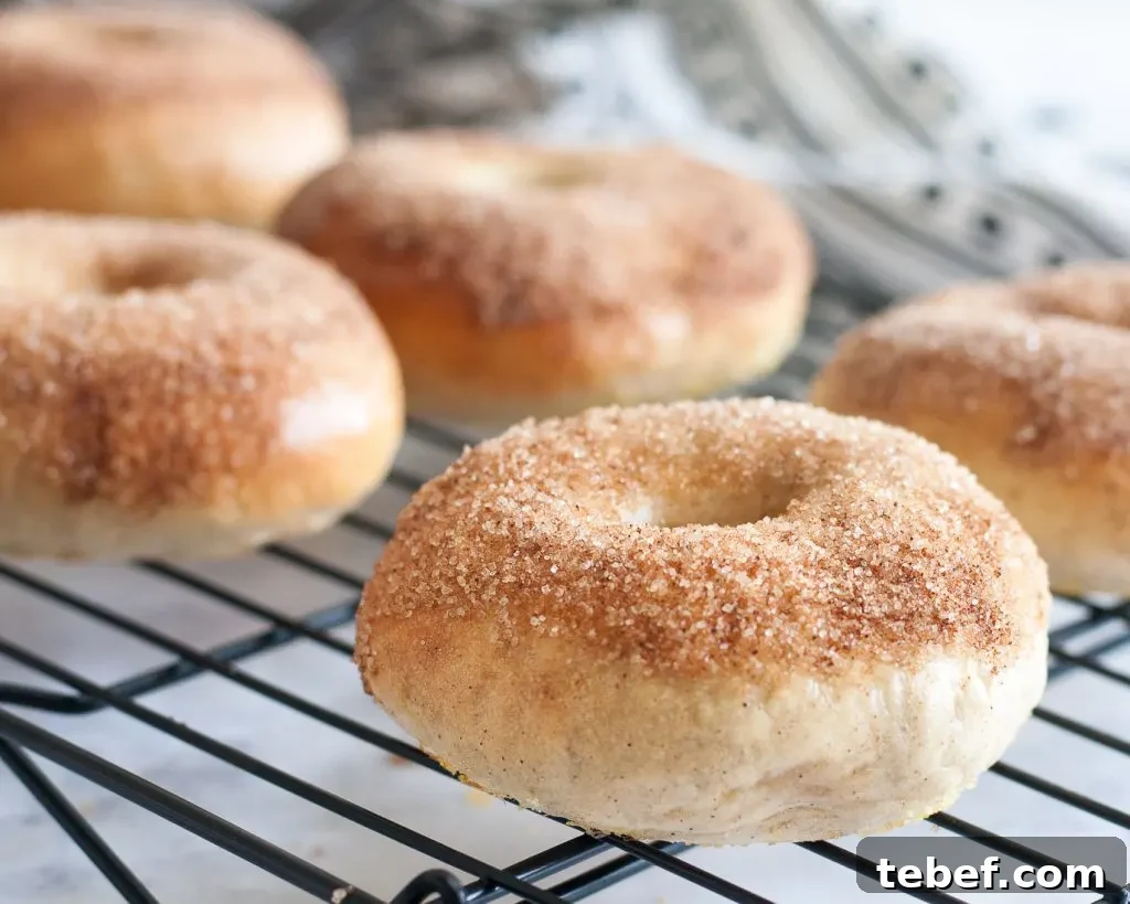 Cinnamon-Sugar Churro Bagels Made from Scratch 4 The perfect balance of cinnamon and sugar takes this breakfast favorite to the fair! Churro bagels are a perfect sweet breakfast treat, and leftovers freeze well for later. * Recipe on GoodieGodmother.com
