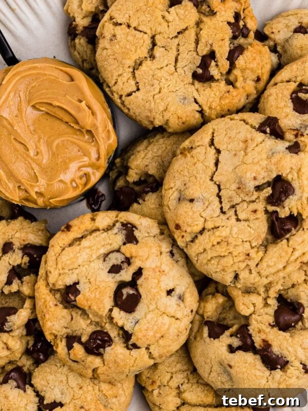 How to Make Classic Caramel Apples at Home in 5 Steps 11 Peanut butter chocolate chip cookies on a white plate with a scoop of peanut butter next the cookies.