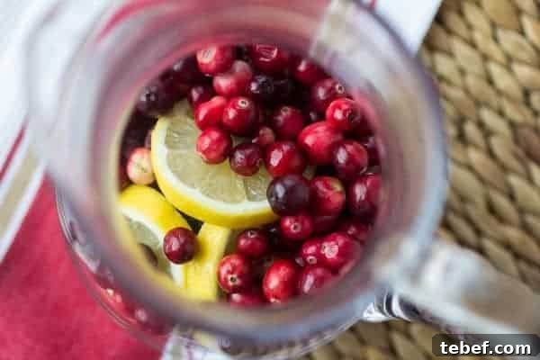 Festive Holiday Wine Spritzer Recipe for Winter Gatherings 3 Holiday Wine Spritzer