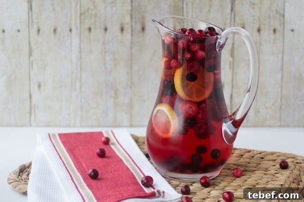 Festive Holiday Wine Spritzer Recipe for Winter Gatherings 4 Holiday Wine Spritzer (3 of 6)