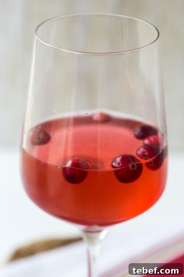 Festive Holiday Wine Spritzer Recipe for Winter Gatherings 5 Holiday Wine Spritzer