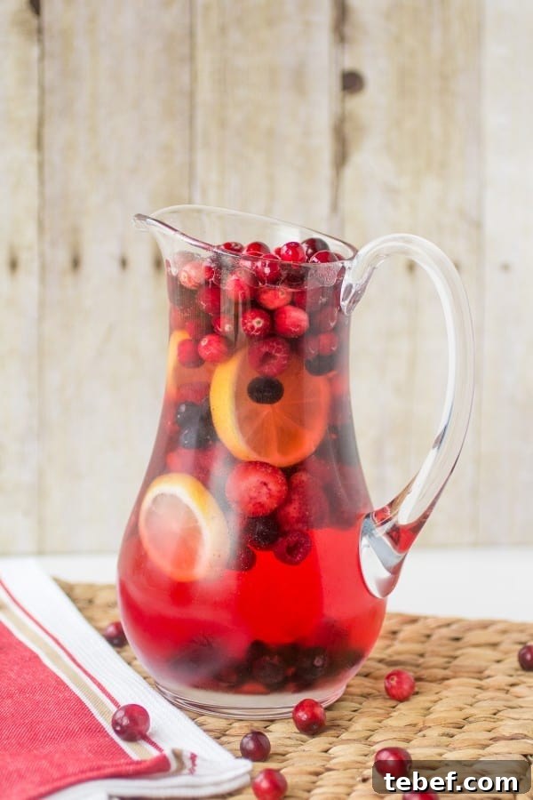 Festive Holiday Wine Spritzer Recipe for Winter Gatherings 6 Holiday Wine Spritzer
