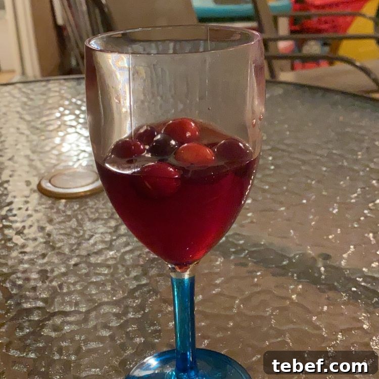 Festive Holiday Wine Spritzer Recipe for Winter Gatherings 7 img 5846 6