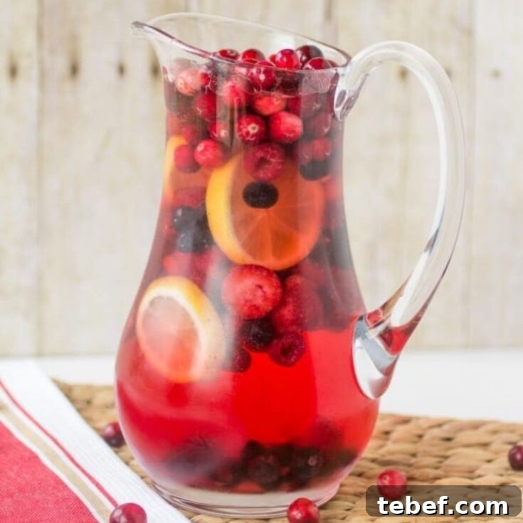 Holiday Wine Spritzer