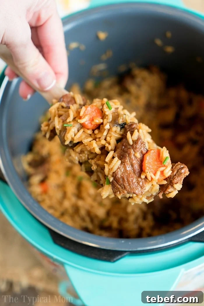 Instant Pot beef stew casserole instant pot beef casserole