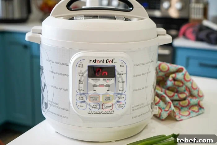 Instant Pot Beef Stew Casserole Recipe for Tender, Hearty Meals 2 star wars instant pot