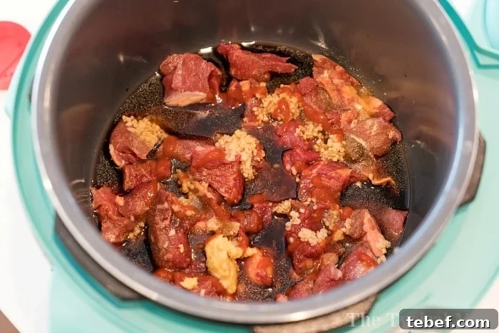 Instant Pot Beef Stew Casserole Recipe for Tender, Hearty Meals 5 instant pot beef stew