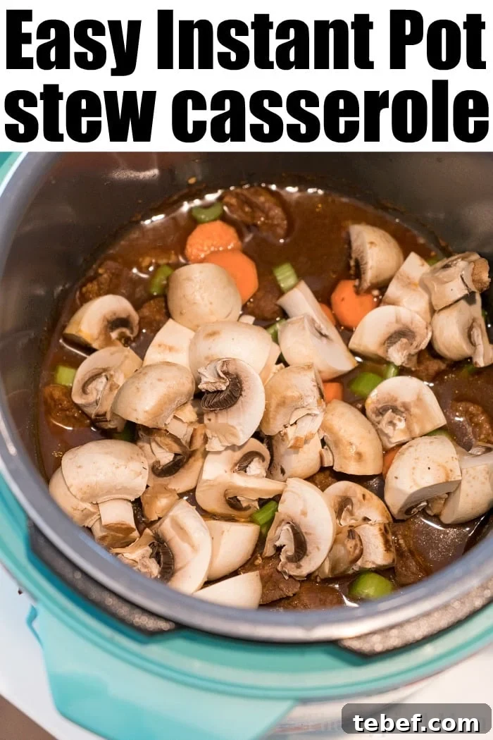 Instant Pot Beef Stew Casserole Recipe for Tender, Hearty Meals 6 instant pot beef stew casserole