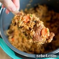 Instant Pot Beef Stew Casserole Recipe for Tender, Hearty Meals 7 A hand holds a spoonful of hearty beef stew over an instant pot filled with a delicious casserole of cooked rice, tender beef, and vibrant vegetables.