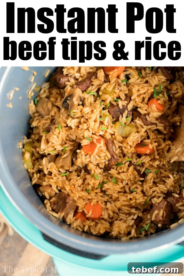 Instant Pot beef and rice casserole instant pot beef and rice