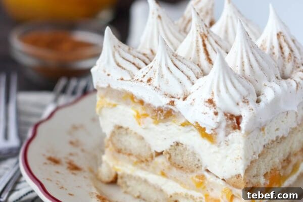 9 No-Bake Summer Desserts to Beat the Heat 6 img 6003 5