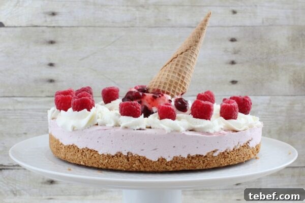 9 No-Bake Summer Desserts to Beat the Heat 8 img 6003 7