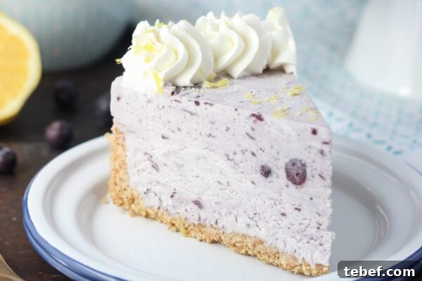 9 No-Bake Summer Desserts to Beat the Heat 10 img 6003 9