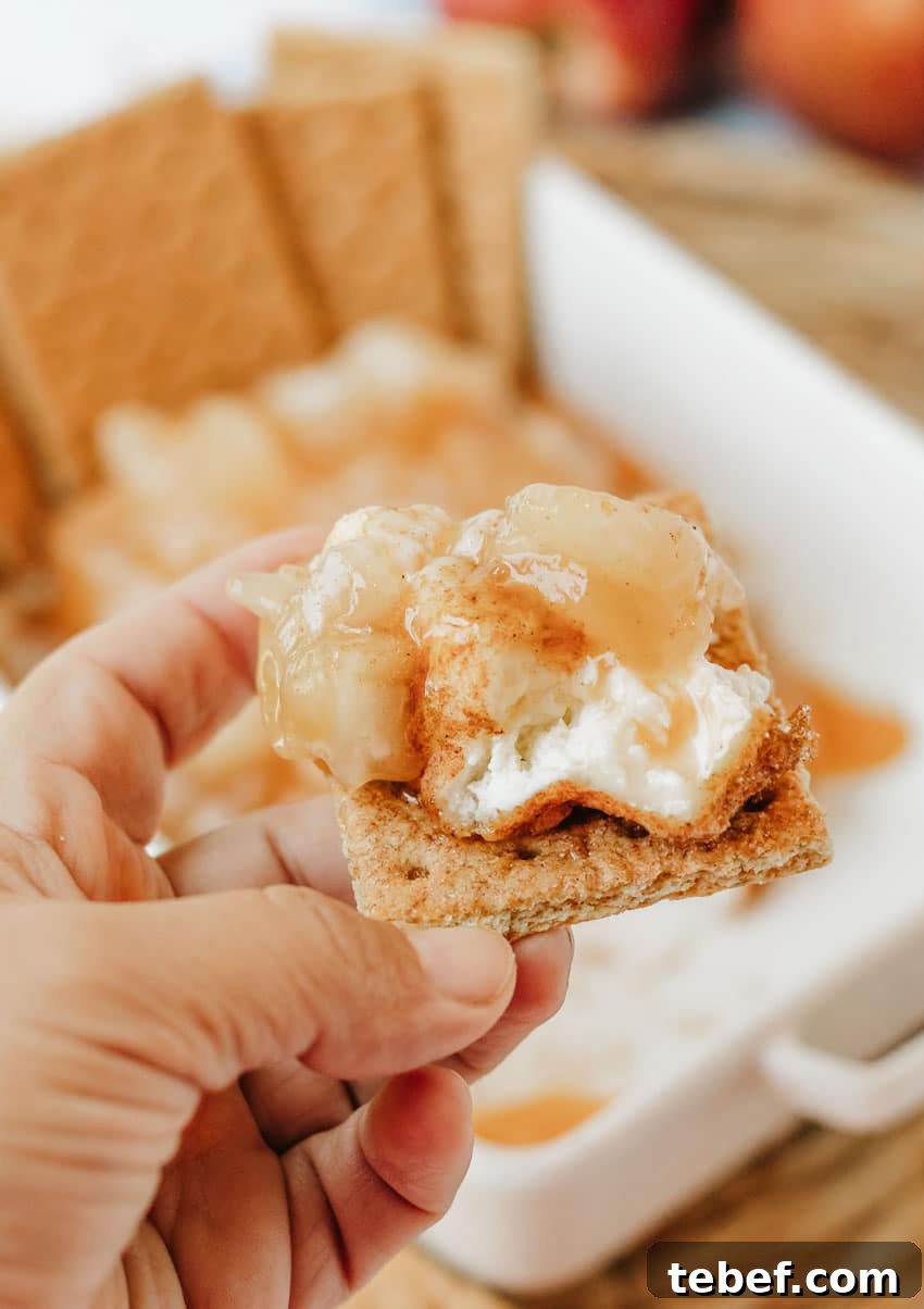 Smoked Cream Cheese with Apple Pie Flavor: Recipe & Tips 11 a hand holding up an apple pie smoked cream cheese topped graham cracker square