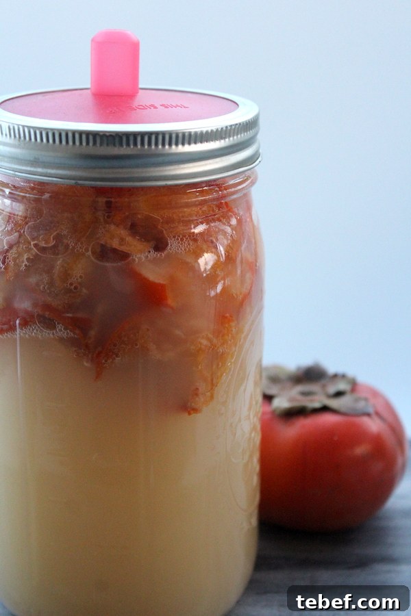 How to Make Persimmon Wine at Home: Step-by-Step Guide 5 Persimmon Wine