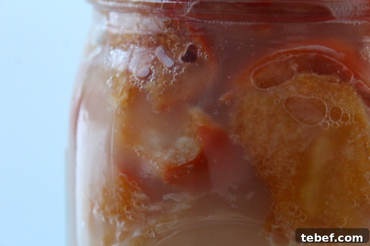 How to Make Persimmon Wine at Home: Step-by-Step Guide 6 Brewing Persimmon Wine