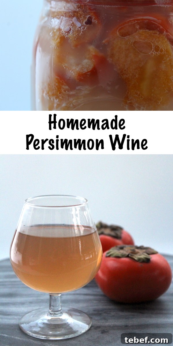How to Make Persimmon Wine at Home: Step-by-Step Guide 9 Homemade Persimmon Wine ~ Easy small batch home winemaking
