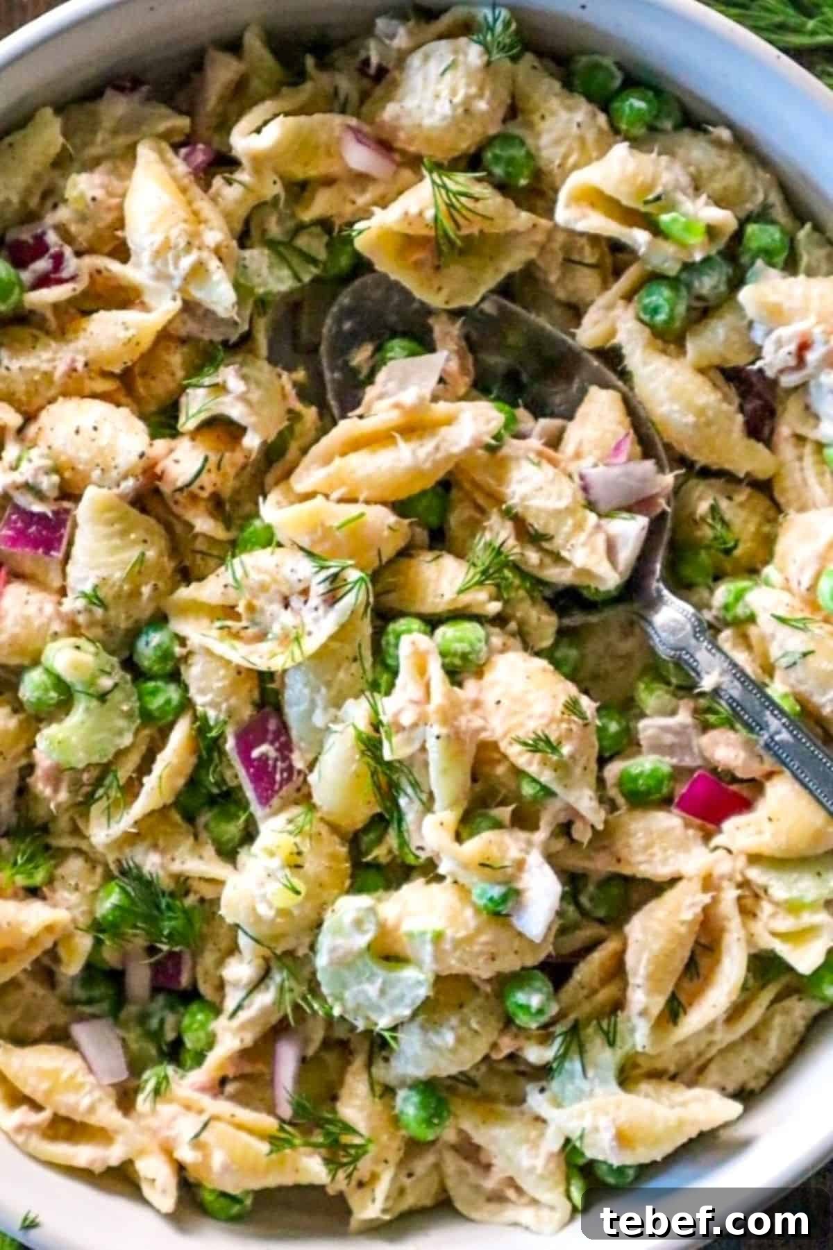 Classic Tuna Pasta Salad Recipe for Potlucks and Weeknight Meals 2 southern style tuna pasta salad