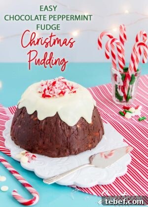 Creamy Peppermint Mousse Recipe for Festive Desserts 12 Chocolate Peppermint Fudge Christmas Pudding