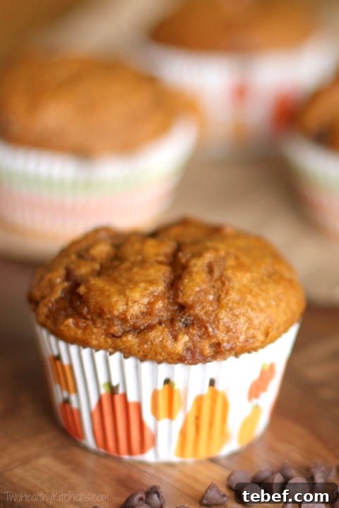 Image for Healthy Pumpkin-Chocolate Chip Muffins