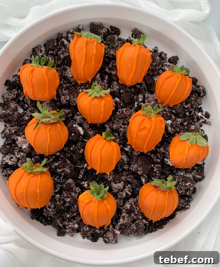 Several dipped strawberries on crushed cookies in white serving dish, to look like a Halloween pumpkin patch.