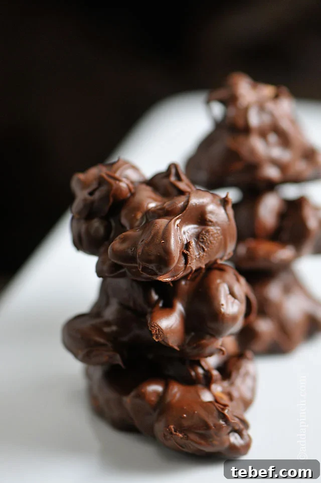 Chocolate Peanut Butter Clusters: No-Bake Homemade Treats 2 Chocolate Peanut Butter Clusters Recipe | ©addapinch.com