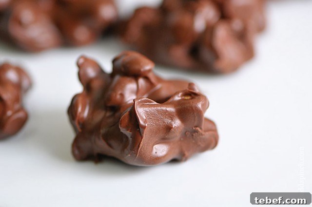 Chocolate Peanut Butter Clusters: No-Bake Homemade Treats 5 Chocolate Peanut Butter Clusters Recipe | ©addapinch.com