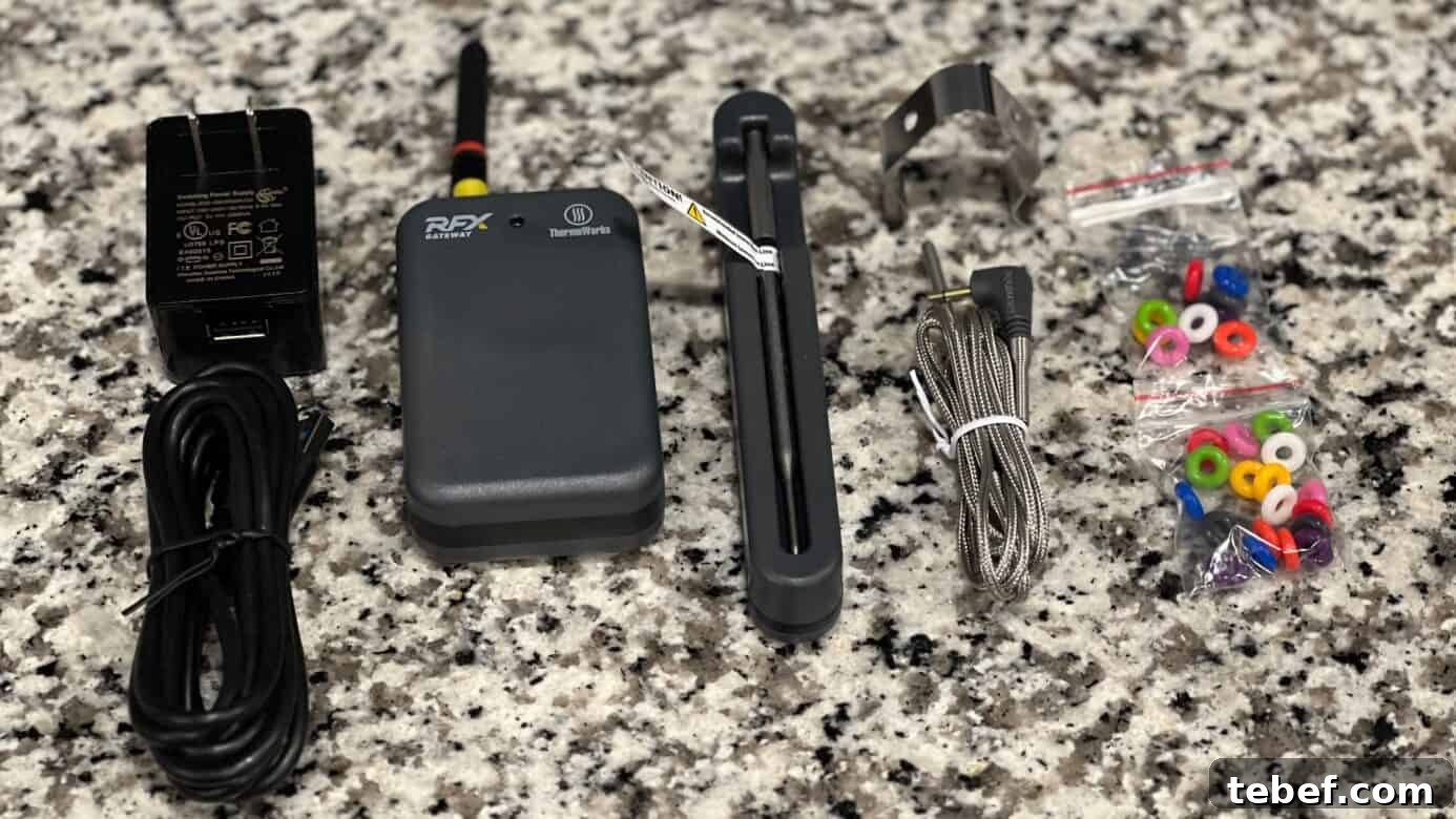 ThermoWorks RFX Wireless Probe Review — Precision, No Wires 2 img 66969 1