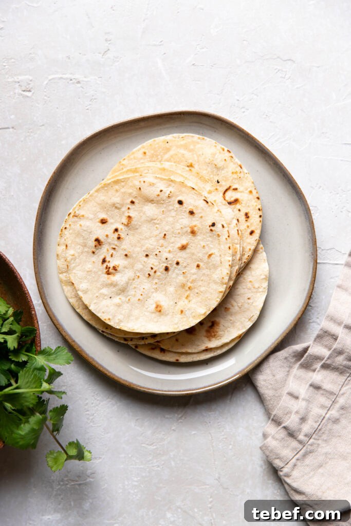 corn tortillas on a plate.