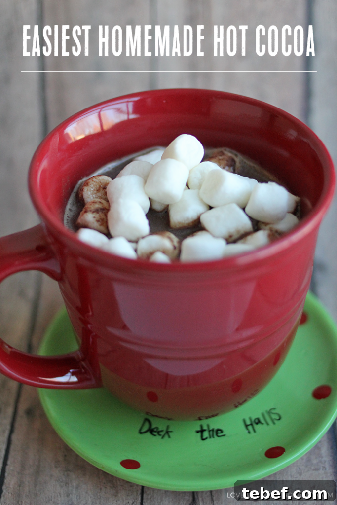 Homemade Hot Cocoa Recipe for Rich, Creamy Winter Comfort 2 hotcocoa1