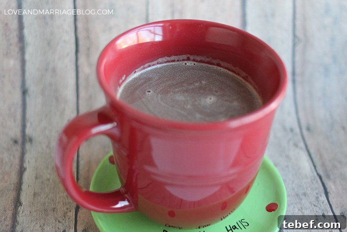 Homemade Hot Cocoa Recipe for Rich, Creamy Winter Comfort 4 hotcocoa2