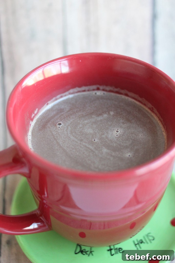 Homemade Hot Cocoa Recipe for Rich, Creamy Winter Comfort 6 hotcocoa5