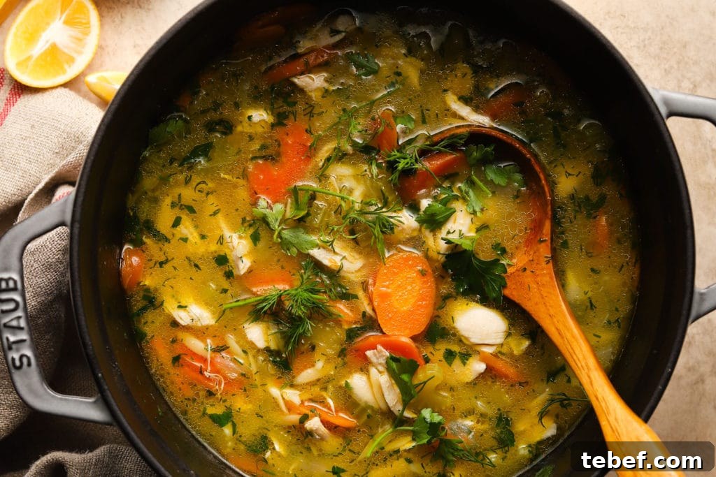 Lemon Chicken Orzo Soup