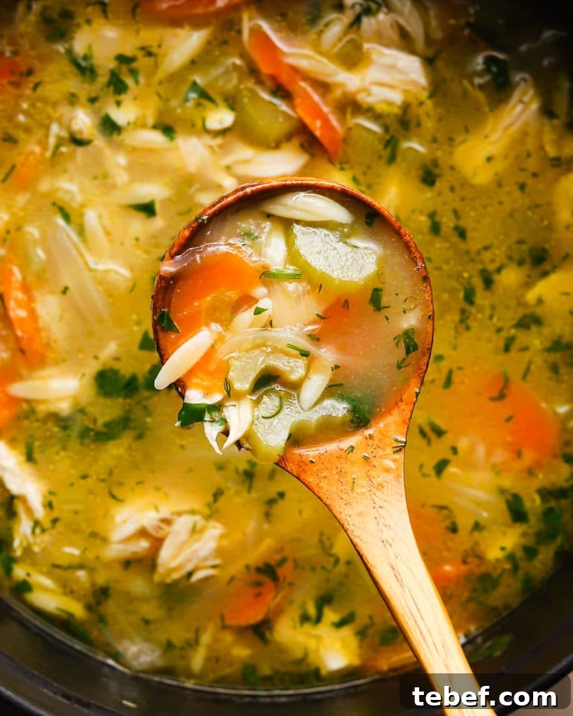 Lemon Chicken Orzo Soup