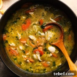 A pot of chicken orzo soup with carrots and herbs, stirred with a spoon.