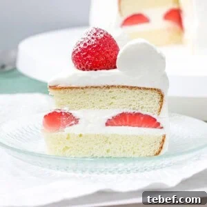 Authentic Japanese Strawberry Shortcake Recipe — Light, Fluffy Layers 18 close up of slice of Japanese strawberry shortcake with whipped cream frosting on a glass plate
