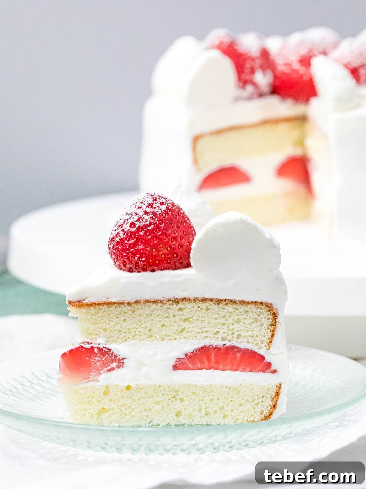 Authentic Japanese Strawberry Shortcake Recipe — Light, Fluffy Layers 3 a slice of Japanese strawberry sponge cake on a plate decorated with a whole strawberry and fresh cream